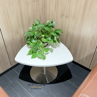 Bureau de direction en bois massif personnalisé KALN, design moderne, durable, respectueux de l'environnement, table basse pour usage commercial et professionnel