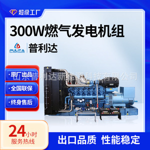 Grupo Electrógeno de Gas Cummins de 1.2 MW para Generación de Energía en Centros de Datos - Product Image 3