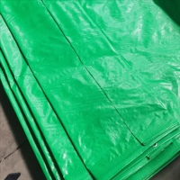 Bâche en PE vert durable, anti-âldonnement, flexible, pour camions, marchandises et stockage agricole