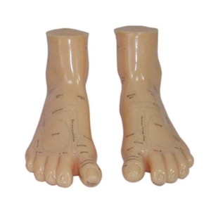 Modèle de pied en silicone pour l'acupuncture scientifique médicale, diagramme des points d'acupuncture, 17 cm, pour l'enseignement - Product Image 1