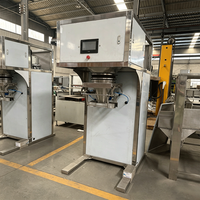 Pesadora Multicabezal Eléctrica de Alta Velocidad y Precisión RL520H, Semiautomática, para Envasado y Llenado de Gránulos, Polvo y Chips en Bolsas de Plástico