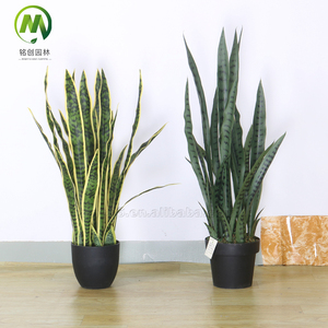 Bonsái <span class=keywords><strong>de</strong></span> follaje verde personalizado, planta <span class=keywords><strong>de</strong></span> bonsái <span class=keywords><strong>de</strong></span> simulación, plástico, Sansevieria Trifasciata, lluvia para paisajismo <span class=keywords><strong>de</strong></span> jardín - Product Image 2