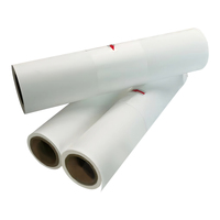 Vinyle imprimable PU Eco Solvent de haute qualité pour T-shirts