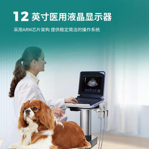 Échographe portable Pu Vdl121a pour animaux de compagnie et animaux, équipement médical électrique à semi-conducteurs, certifié CE - Product Image 3