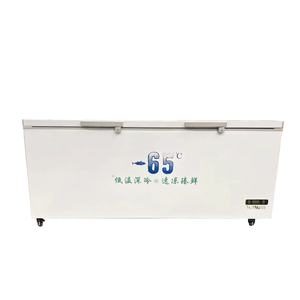 VICTORY KITCHEN 50% off Commercial Ultra-low Temperature Freezer Ice Cream Machine <b>Other</b> <b>Hotel</b> & <b>Restaurant</b> <b>Supplies</b> - Product Image 1