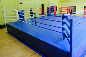 <span class=keywords><strong>Ring</strong></span> <span class=keywords><strong>de</strong></span> <span class=keywords><strong>boxe</strong></span> d'occasion à vendre, cordes, 20 x 20, octogone, cage MMA, liste <span class=keywords><strong>de</strong></span> promotions, combats, cage octogone, <span class=keywords><strong>ring</strong></span> UFC, <span class=keywords><strong>ring</strong></span> <span class=keywords><strong>de</strong></span> <span class=keywords><strong>boxe</strong></span> au sol, CN;SHN - Product Image 2