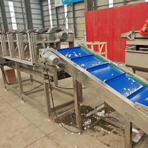 Máquina Peladora y Limpiadora de Ajos con Clasificación por Tamaño y Larga Vida Útil, Equipo de Procesamiento de Ajos 380V/220V - Product Image 2