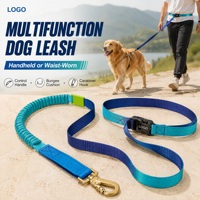 Laisse pour chien multifonction personnalisée, à porter à la main ou à la taille, avec poignée réglable, coussin élastique et mousqueton