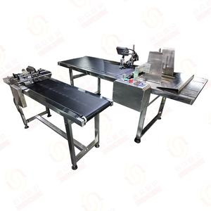 Le chargeur <span class=keywords><strong>de</strong></span> frottement élargissent la machine <span class=keywords><strong>auxiliaire</strong></span> <span class=keywords><strong>de</strong></span> radiomessagerie <span class=keywords><strong>de</strong></span> convoyeur <span class=keywords><strong>de</strong></span> machines d'emballage - Product Image 4