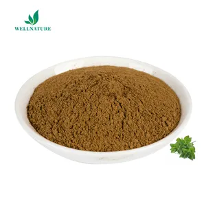 Wholesale Organic Oregano Leaf Leaves Powder Herbs Oregano Extract Powder Price