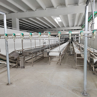Solutions de traitement automatique de volaille Maisheng Machine d'abattoir de poulet avec pompe et composants du noyau du moteur