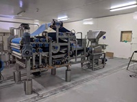 Automatische sinaasappelsapverwerkingslijn 500-20000 kg/uur, turnkey citruspersmachine, fruit- en groenteverwerker, roestvrij staal, PLC-gestuurd