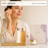 Ensemble de soins du visage personnalisé à l'acide kojique et à l'alpha arbutine, 4 pièces, éclaircissant les taches brunes, anti-âge, OEM ODM, étiquette privée