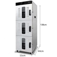 Commerciële elektrische droger, dehydrator, ontwateringsmachine voor voedsel, fruit en groenten, moringa bladeren, automatisch.