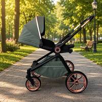 Poussette Bébé Tout-Terrain Personnalisable avec Logo, Pneus Pneumatiques, Suspension Avancée, Système de Voyage 2-en-1 EN1888 ASTM