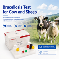 Kit de test d'anticorps de la brucellose certifié CE ELISA précis et compétitif pour bovins et ovins