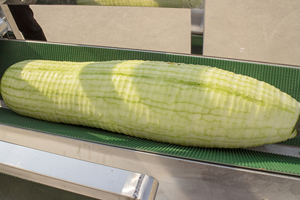 เครื่องปอกเปลือกฟักทองแตงโมแตงโมแตงโม - Product Image 2