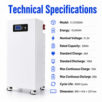 Paket Baterai LiFePO4 Lithium Iron Phosphate 25.6V 51.2V 200Ah 300Ah 314Ah 400Ah untuk Sistem Penyimpanan Energi dengan Daya Tahan Siklus Tinggi