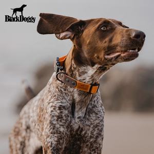 Collier et laisse pour chien en polyester classique à dégagement rapide imperméable avec rubans pour la promenade - Acceptation de la vente en gros - Product Image 3