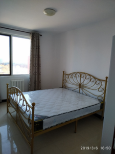 Moderna <span class=keywords><strong>in</strong></span> <span class=keywords><strong>ferro</strong></span> battuto metallo a forma di cuore telaio del <span class=keywords><strong>letto</strong></span>/robusto <span class=keywords><strong>singolo</strong></span> <span class=keywords><strong>letto</strong></span> <span class=keywords><strong>in</strong></span> <span class=keywords><strong>ferro</strong></span>/camera da <span class=keywords><strong>letto</strong></span> ultimo disegno tubo quadrato <span class=keywords><strong>singolo</strong></span> <span class=keywords><strong>in</strong></span> acciaio <span class=keywords><strong>letto</strong></span> - Product Image 6