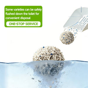 <span class=keywords><strong>Arena</strong></span> para Gatos Profesional de Primera Calidad, <span class=keywords><strong>Aglomerante</strong></span> Fuerte, Mezcla de <span class=keywords><strong>Arena</strong></span> para Gatos, Venta al por Mayor - Product Image 2