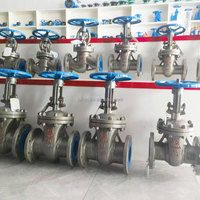 Vanne à boisseau manuelle à moyenne pression en acier moulé pour eau propre DN150 WCB 300LB