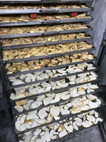 Qd Grote Commerciële Vriesdroger Voor Knapperige Fruitmaterialen Huisdiervlees Durian Aardbei Food Grade Vacuümvriesdroger