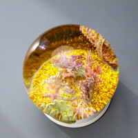 Souvenirs personnalisés de marques de luxe en résine, globe à neige en corail, ornement en résine ABS, décoration, globe en cristal, boule d'eau pour cadeau