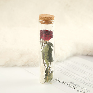 <span class=keywords><strong>Mini</strong></span> rose éternelle premium en tube à essai, fleur séchée, bouteille à vœux pour la décoration intérieure, cadeau de la Saint-Valentin - Product Image 2