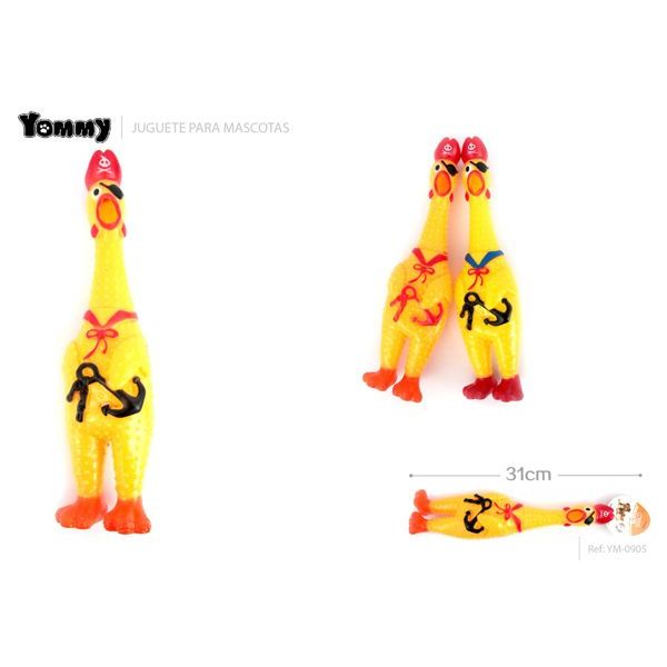31CM
