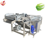 Industriële Groente Fruit Wasmachine Blad Groenten Kool Bubble Wasmachine