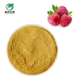 Pure fruit extract powder Raspberry Extract juice powder
