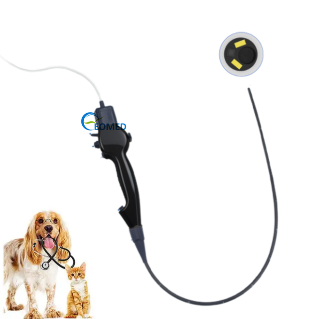 Safe Disposable Veterinary Vet Electronic Endoscope - Flexible Design for Livestock Trachea Inspection