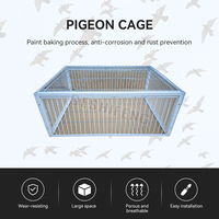 Nouvelle conception de cage à oiseaux en fil de fer pour perroquets, pigeons, nichoir en métal de haute qualité