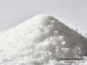 L-Treonina 98.5% de Grado Alimenticio, Aminoácido <span class=keywords><strong>para</strong></span> Alimentación Animal - Product Image 1