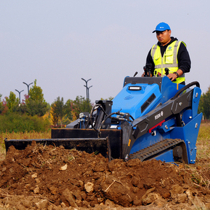 RIPPA RS06 1,5 ton Skidsteer Kubota D1105 dieselmotor 3 cilinders Mini <span class=keywords><strong>Skid</strong></span> <span class=keywords><strong>Steer</strong></span> <span class=keywords><strong>Loader</strong></span> rupslader - Product Image 6