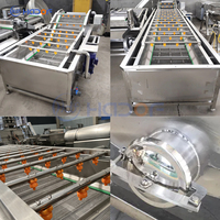 Industriële Type Grote Fruit En Plantaardige Bubbel Ozon Wasmachine Kern Component Motor
