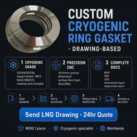 Joint torique métallique cryogénique SS304 SS316L -196°C pour service GNL NACE MR0175, ovale, octogonal, ASME B16.20, dessin personnalisé, OEM