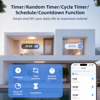 Módulo de Interruptor Inteligente WiFi 6 Tuya Smart Life OEM/ODM WSM20-DC, Control por Voz con Alexa y Google Home, 110-240V, Temporizador DIY