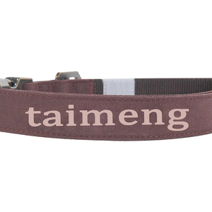 Großhandel Haustier Halsbänder Verstellbare Nylon Heavy Duty Martingale Schnell verschluss Schnalle Hunde halsband für Hunde Walking Jogging Training - Product Image 3