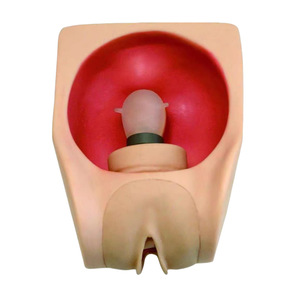 Chèn biện pháp tránh thai và kế hoạch hóa gia đình và mô hình đào tạo kiểm soát sinh sản mô hình giảng dạy hướng dẫn tránh thai nữ - Product Image 2