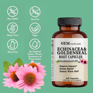 Organische Lymfatische <span class=keywords><strong>Capsules</strong></span> <span class=keywords><strong>Echinacea</strong></span> Purpurea Extract Supplement <span class=keywords><strong>Capsules</strong></span> voor Immuunondersteuning <span class=keywords><strong>Echinacea</strong></span> Extract <span class=keywords><strong>Capsules</strong></span> - Product Image 2