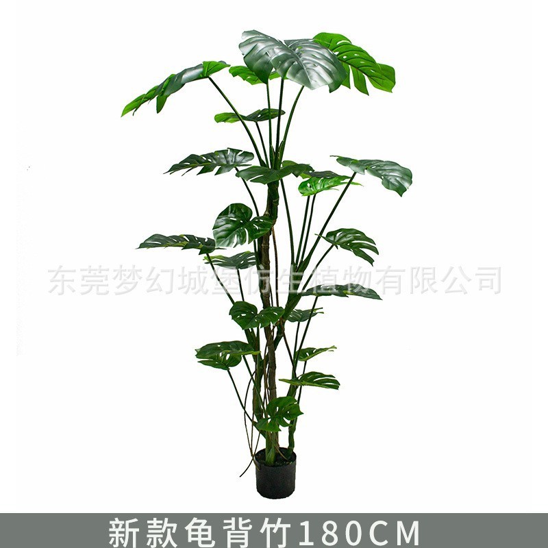 Monstera deliciosa Rainforest, 180 cm (livré avec un socle noir)