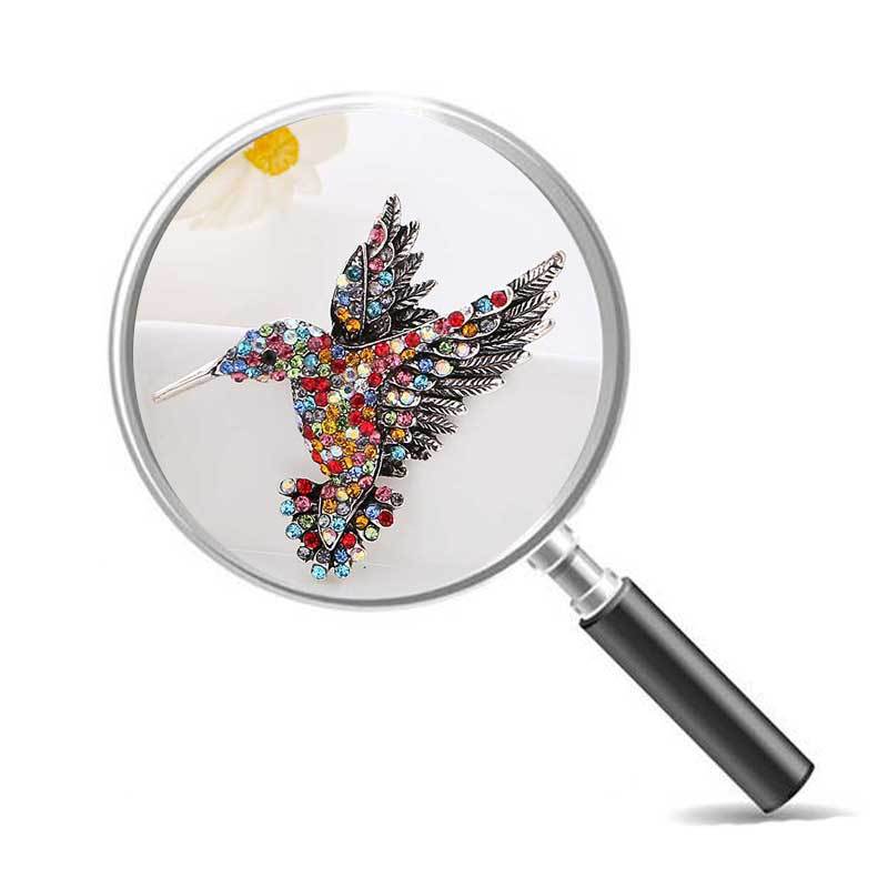 Elegante spilla a forma di colibrì con strass, spilla animale da donna