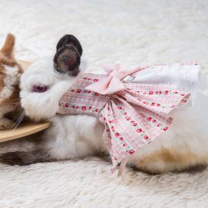 Nouvelle Robe en Coton Mignonne pour Lapin, Vêtements pour Chat, Noeud Papillon, Jupe Florale pour Lapin, Robe de Haute Qualité pour Animaux de Compagnie - Product Image 1