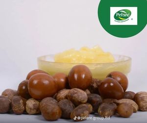 Manteca de Karité Nilotica de Uganda, Prensada en Frío, Sin OMG, Cosecha Sostenible, para Cosméticos de Marca Privada, Pelere Bulk 500L - Product Image 3