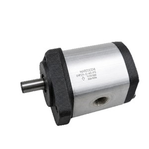 ปั๊มเกียร์ Ma Zuqi รุ่น GHP2A-D-20-FG สำหรับเครื่องทดสอบอุปกรณ์รักษาสิ่งแวดล้อม ปั๊มไฮดรอลิก - Product Image 4