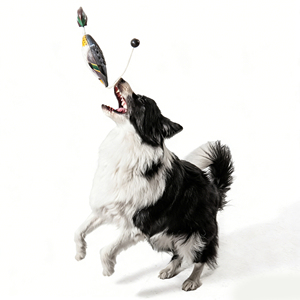 Juguete de Pato Mallard para Caza, Señuelo de EVA Resistente para Entrenamiento de Perros de Caza - Product Image 5