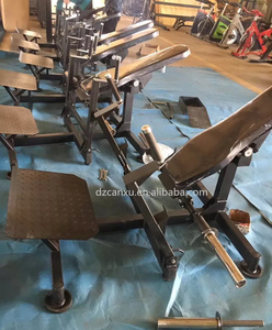 Thiết Bị Tập Gym Thương Mại Có Tấm Được Thiết Kế Mới Máy Tập Thể Dục Lưng - Product Image 6