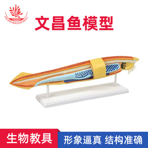 PVC - Product Image 5